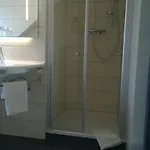 Hetzel 4*
